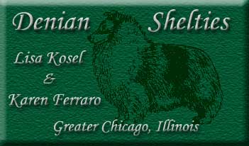 Denian Shelties Logo