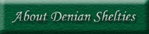 About Denian Shelties