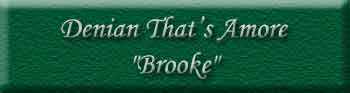 Denian That's Amore - "Brooke"