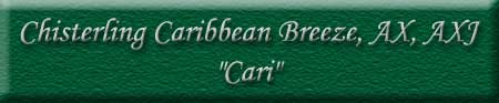 Chisterling Caribbean Breeze, AX, AXJ - "Cari"