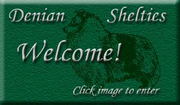 Welcome To Denian! Click Here to Enter