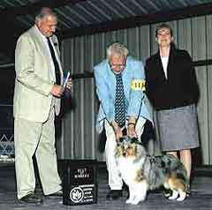 Deuce - Second Win, FIRST MAJOR!!! - 9-12 puppy class