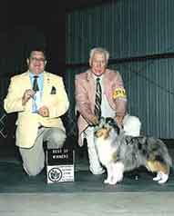 Deuce's third win - 9-12 puppy class!