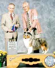 Deuce - Best of Winners, THIRD major - 9-12 puppy class