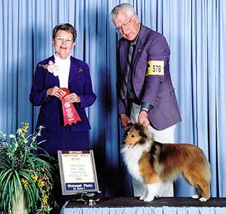 Denian Divine Deception - "Diva" - SECOND place, Am Bred, 2003 ASSA National