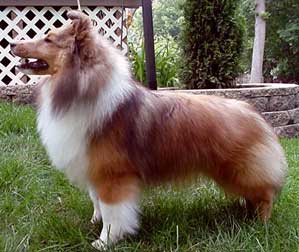 Denian Divine Deception - "Diva" at nine months