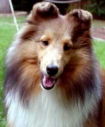 Denian Divine Deception - "Diva" at nine months