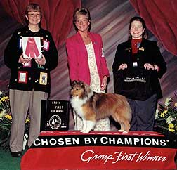 Denian Divine Deception - "Diva" - Puppy Group ONE!