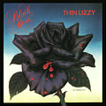 BLACK ROSE A ROCK LEGEND