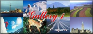 Gallery 1