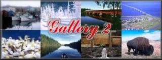 Gallery 2