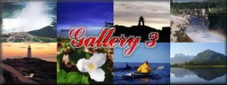 Gallery 3