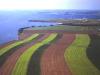 Farmland