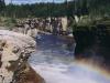 Trout River