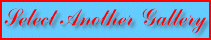 Select a New Gallery