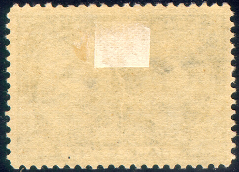 50back.JPG (73685 octets)