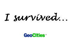 I survived the Yahoo!GeoCities merger.
