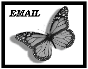 send den an email