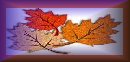 my starlitle poetry