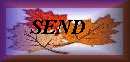 send to a friend
