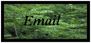 email Dennis