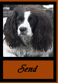 send to a friend