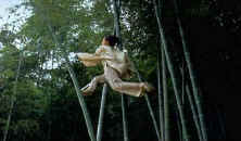 Jen (Zhang Ziying) terbang di sela-sela rumpun bambu