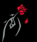 An enchanted rose in the hand of the Beast