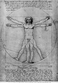 Vitruvian Man, Leonardo Da Vinci