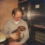 Keeshound patient in animal hospital