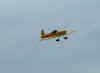 saintsflyin 019.jpg (8957 bytes)