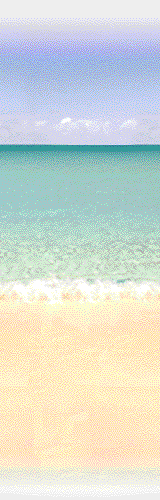 /user/beach.gif