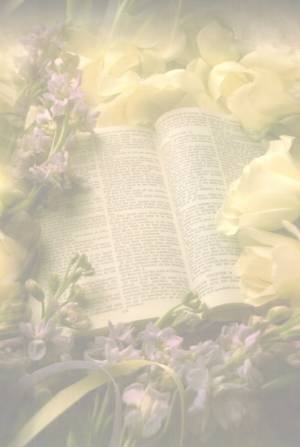 /user/bible15.jpg