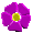 /user/flowers.gif