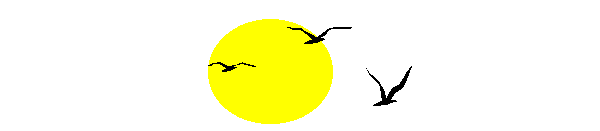 /user/flybirds.gif