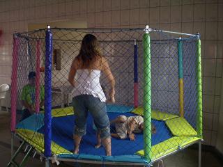 Cama El�stica 2,80 m