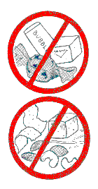 pict15.gif (4526 bytes)