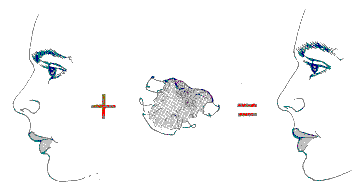 ./images/pict1c.gif (2926 bytes)