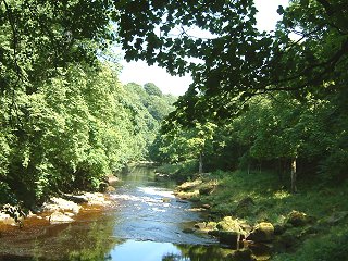 Yorkshire Dales
