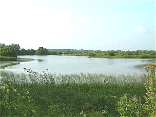 Lower River Valley