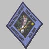 Click here for an enlarged view of this patch