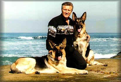 dennis_dogs.jpg (32702 bytes)