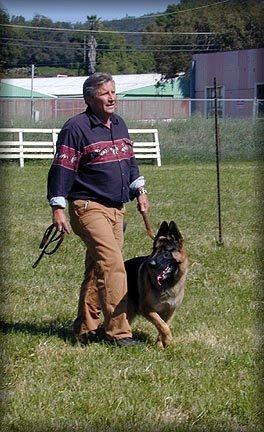 herd_denlondy2.jpg (42014 bytes)