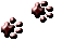 paws_dark.gif (1424 bytes)