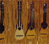 timples.jpg (76704 bytes)
