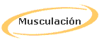 Musculaci�n