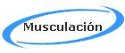 Musculaci�n