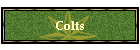 Colts