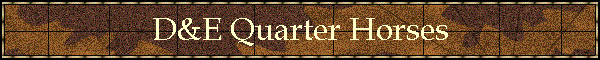 D&E Quarter Horses