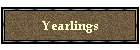 Yearlings
